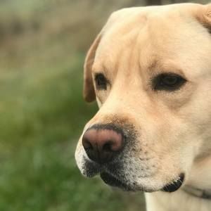 Meet your Posher, Liliana